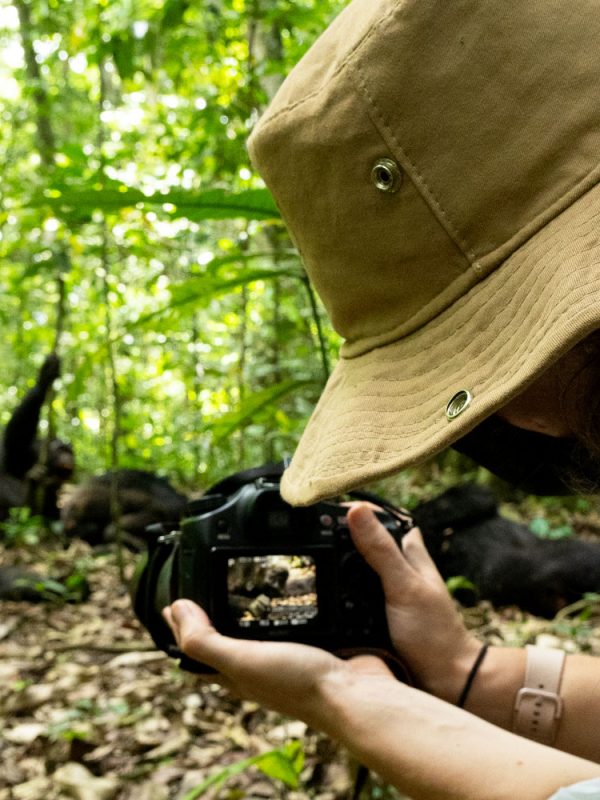 5-days-uganda-gorilla-and-chimpanzee-safari