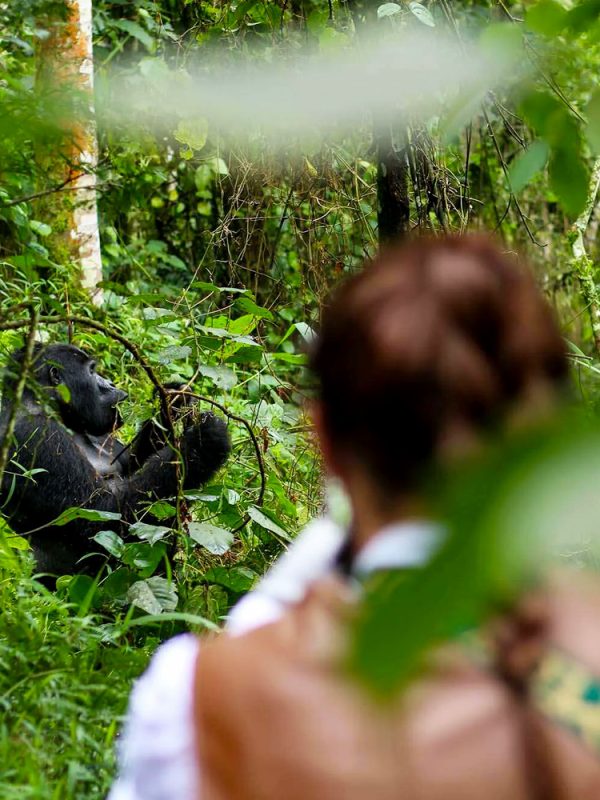 gorilla-trekking-experience